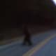 Knobby runs across the road and can be heard to scream or snarl at me as I video taped it. We saw it crossing the road and it was visible for a very few seconds. Not over 10-15 seconds.