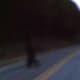 Knobby runs across the road and can be heard to scream or snarl at me as I video taped it. We saw it crossing the road and it was visible for a very few seconds. Not over 10-15 seconds.
