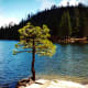 Hume Lake