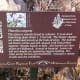 Trail Marker for Blue Curls - Brushy Creek Sports Park - Cedar Park TX