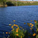 Brushy Creek Lake Park Cedar Park TX