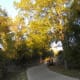 Brushy Creek Sports Park Tree Shaded Trails - Cedar Park TX