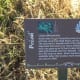 Trail Marker for Pecan Tree - Brushy Creek Sports Park - Cedar Park TX