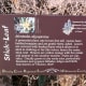 Trail Marker for Stick Leaf -Brushy Creek Sports Park - Cedar Park TX