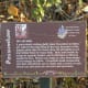 Trail Marker for Holly Plant - Brushy Creek Sports Park - Cedar Park TX