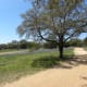 Brushy Creek Lake Park in Cedar Park Texas - People enjoying the bluebonnets
