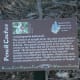 Trail Marker for Pencil Cactus - Brushy Creek Sports Park - Cedar Park TX