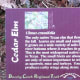 Trail Marker for Cedar Elm - Brushy Creek Sports Park - Cedar Park TX