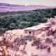 Evidence of past settlement within Big Bend National Park
