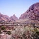 Chisos Mountains Basin