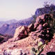 Big Bend National Park