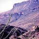 Ocotillo cactus in foreground of Big Bend National Park.