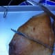 barbecue-wagyu-beef-recipe