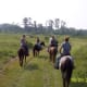 Trail riding at Sane Felasco in Alachua, FL