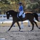 Moriah & Napolean riding a dressage test at Wickham Park in Melbourne, FL