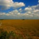 Always moving, this is a part of the River of Grass (the Everglades).