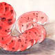 Mongolian death worm Illustration by Jiri Zacek/courtesy of Ivan Mackerle