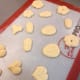 These are some of the cookies that I have shaped.