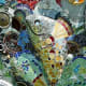 Fish on wall