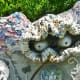 Scary looking creature on the park wall