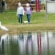 Great egret and two little girls