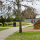 Bane Park