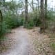 Wooded trails