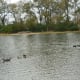 Lions Club Lake in Bane Park