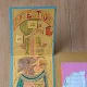 human body lapbook digestion book