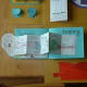 human body lapbook minibook on the ear