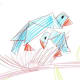 tagram birds