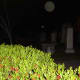 Charleston Graveyard Ghost Orb