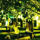 Charleston SC Graveyard