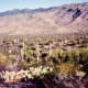 Saguaro National Park