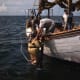 Sponge diver entering the water - 1945