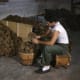 Trimming and sorting sponges