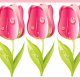 Magenta tulip scrapbook border