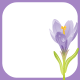 Purple crocus scrapbook journaling card on a white background