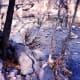 Oak Creek Canyon
