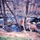 Oak Creek Canyon