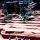 Oak Creek Canyon