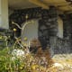 rock_structures