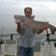 Gone Fishin Club member Gary Turner with a good blue catfish caught at Santee Cooper.