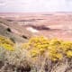 arizona-painted-desert-awesome-pictures