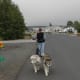 scootering-as-a-sport-with-your-dog