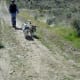 scootering-as-a-sport-with-your-dog