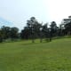 This is a field above the Scout Hall. Those fig trees right in the middle have since died. At school we used to make jam with those figs years ago.