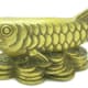 Arowana Fish