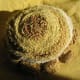 how-to-make-coiled-fabric