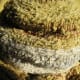 how-to-make-coiled-fabric